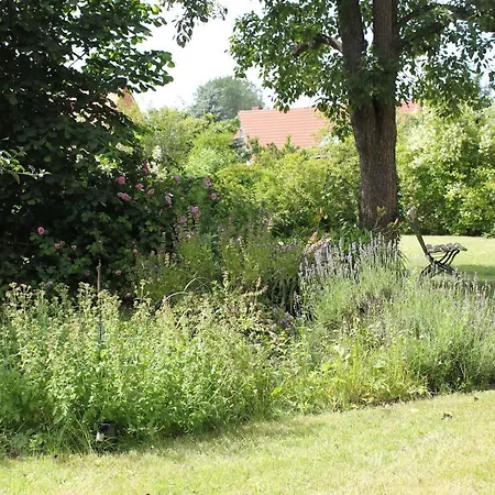 Grosse, Schone Gartenwohnung In Historischer * Bad Doberan
